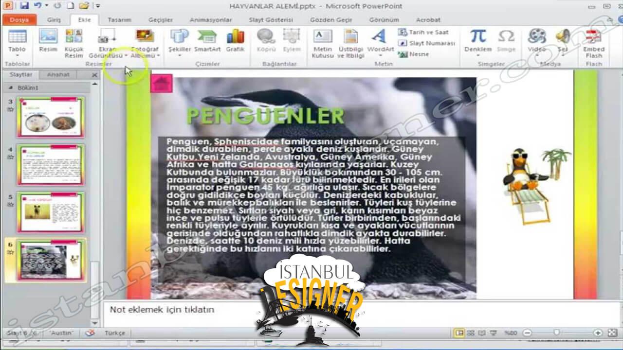 33-microsoft-powerpoint-2010-kopru-eklemek-eylem-dugmesi-eklemek