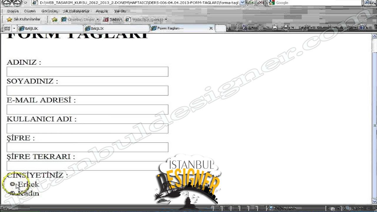 66-html-form-taglari-2-select-ve-radio