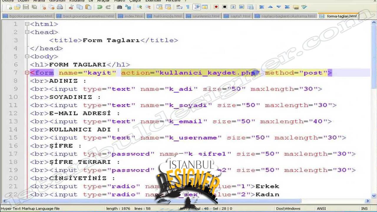 67-html-form-taglari-3-checkbox-submit-reset-textarea