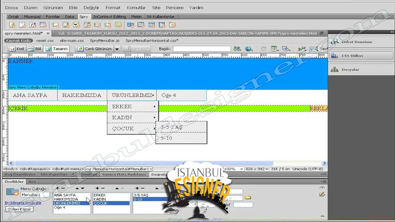 91-adobe-dreamweaver-spry-nesneleri-spry-menu-spry-akordeon-panel-yapimi