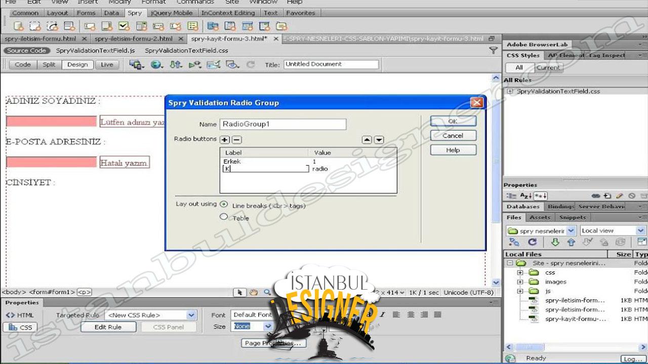 96-adobe-dreamweaver-spry-form-nesneleri-ile-kayit-formu-yapmak