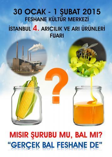 İstanbul Arıcılık ve Arı Ürünleri Festivali 2015 Afiş Tasarımı